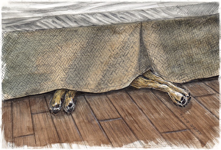 Whiskey the dog under a bed