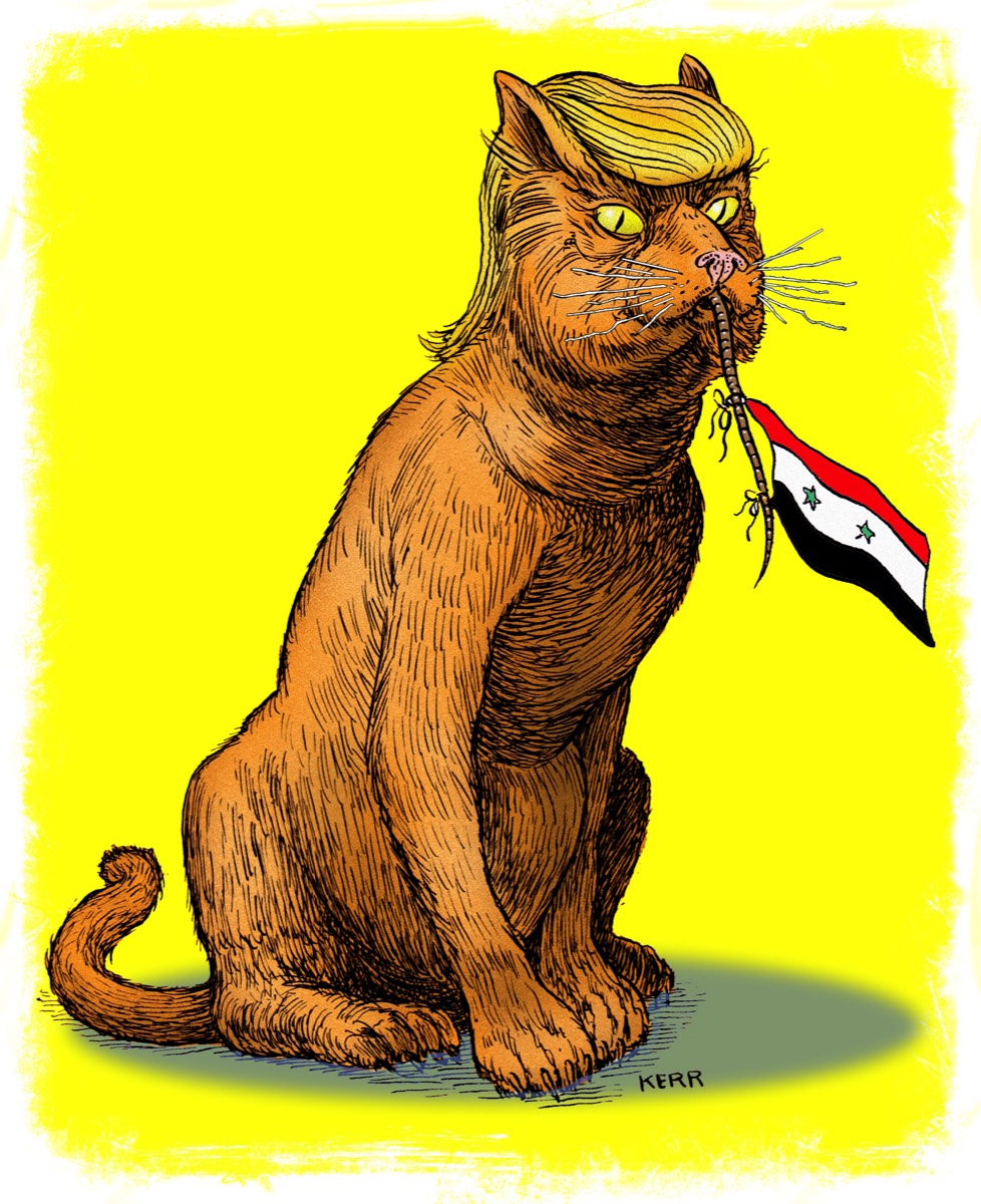 Trumpcat on Syria • Pen and Ink