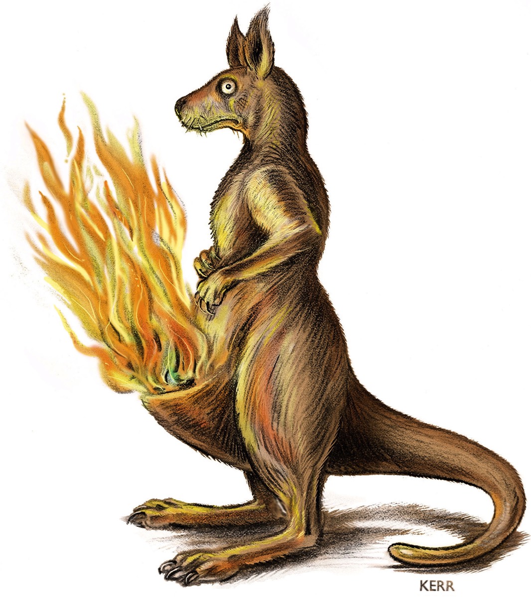 Australian Wildfires • INX Syndicate
